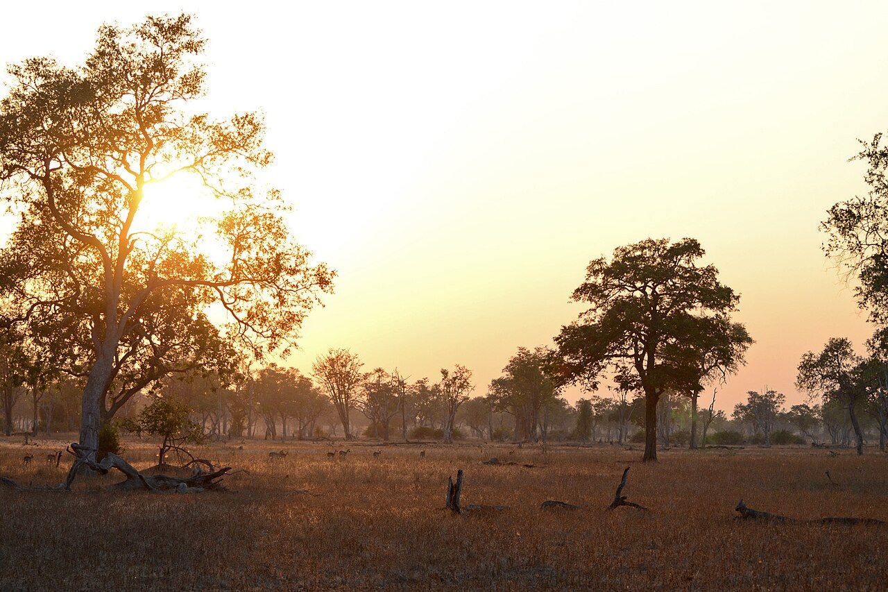 Sunset over the bush in South Luangwa National Park, Zambia